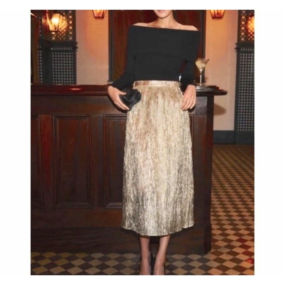 Tuckernuck Skirt Women Small Gold Silver NEW Metallic Tinsel Fringe A-Line Midi